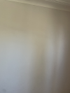 Acrylic paintings of light, landscapes, chat boxes on canvases, which mimics the form of a window – windows in physical and digital spheres is the focus.